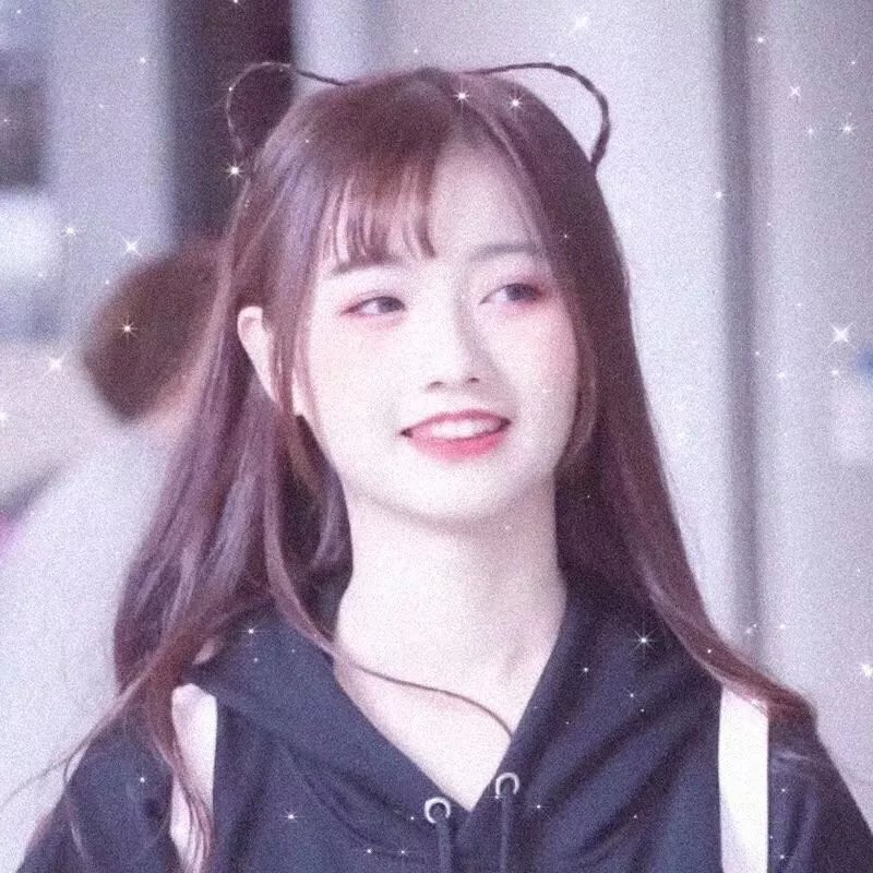 我的中国芯